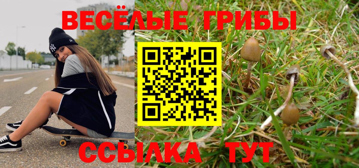 Псилоцибиновые грибы Cubensis  Вход с VPN  Славгород 